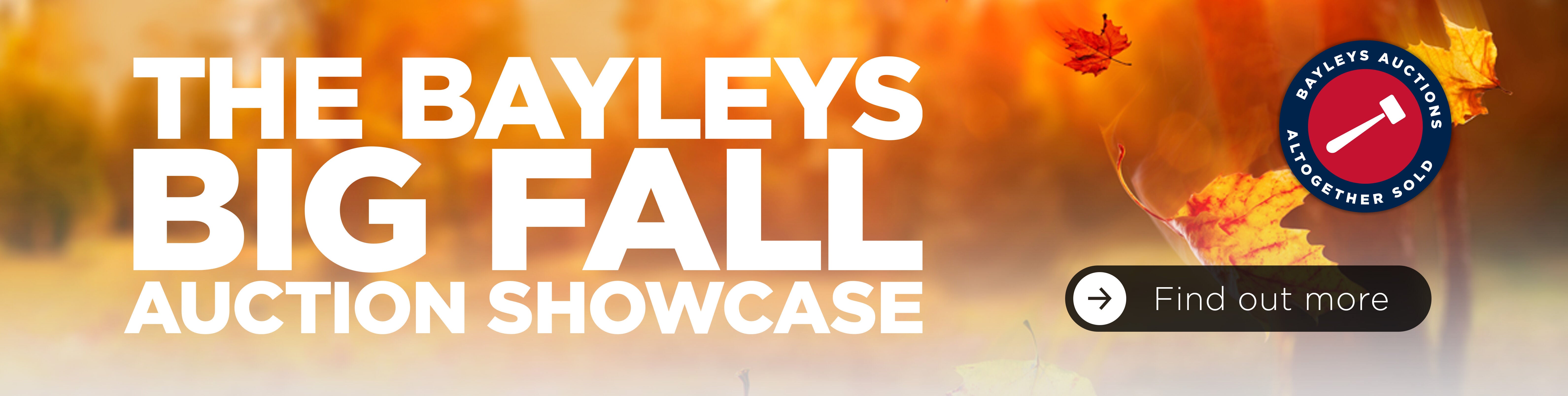 8870450980_Bayleys_Big_Fall_Auction_Website_Header-CTA.jpg