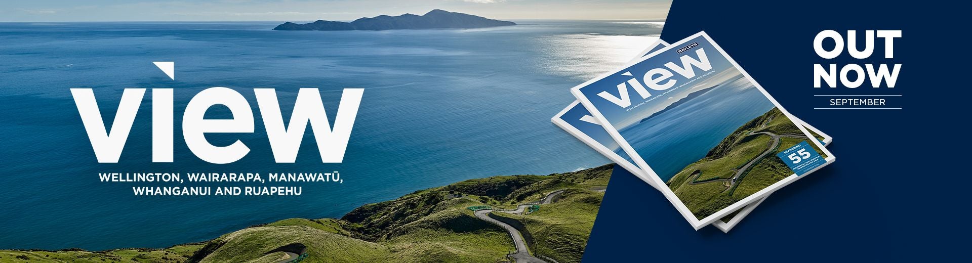 View-Central-NZ-Website-Homepage-Nov-1920x520.jpg
