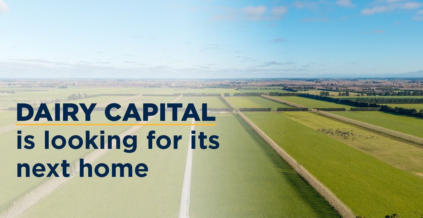 Dairy-capital-is-looking-for-its-next-home-Article-Web-Banner-1356x700.jpg