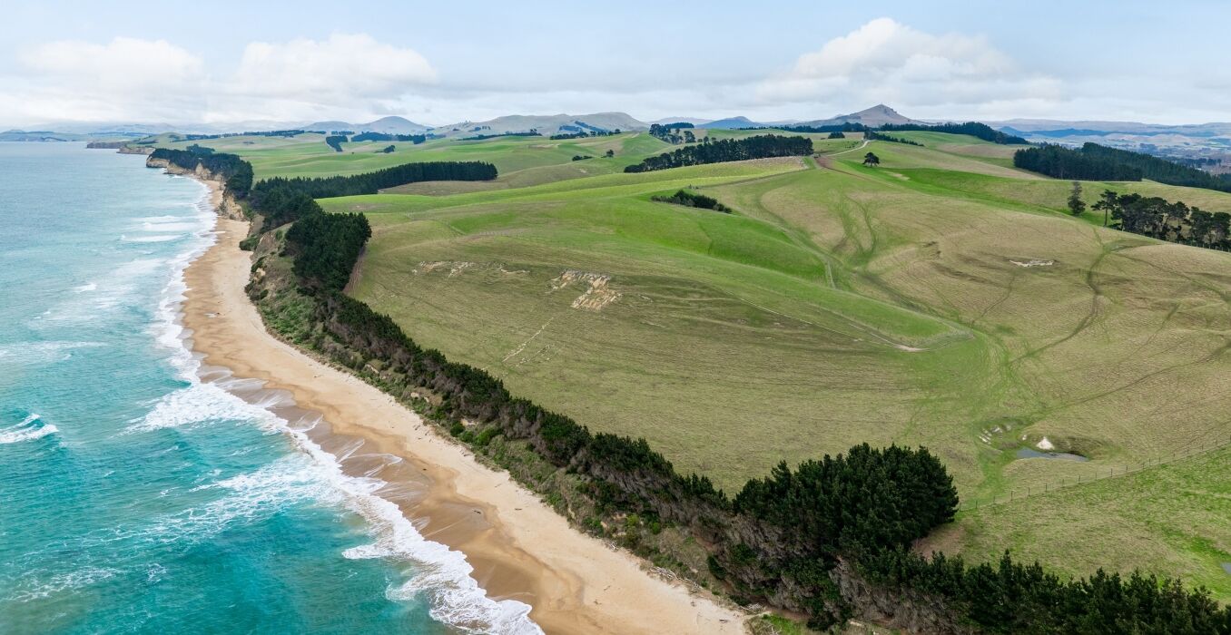 Bushey-Park,-Palmerson,-Otago---final-1356x700.jpg