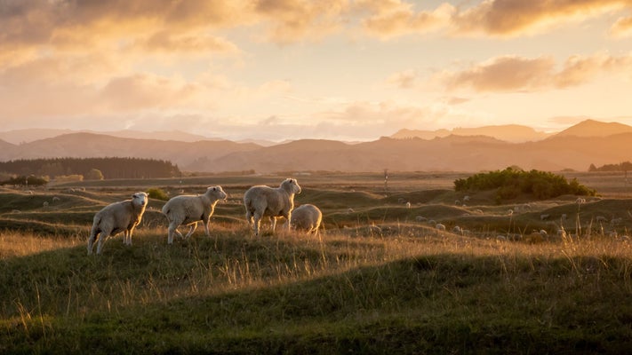 Country-spring-2026-article-1-4-1356x700.jpg
