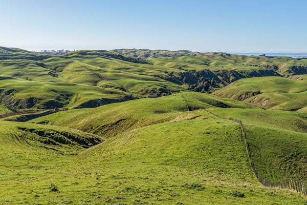DJI_20260722105924_0790_D-copy.jpg