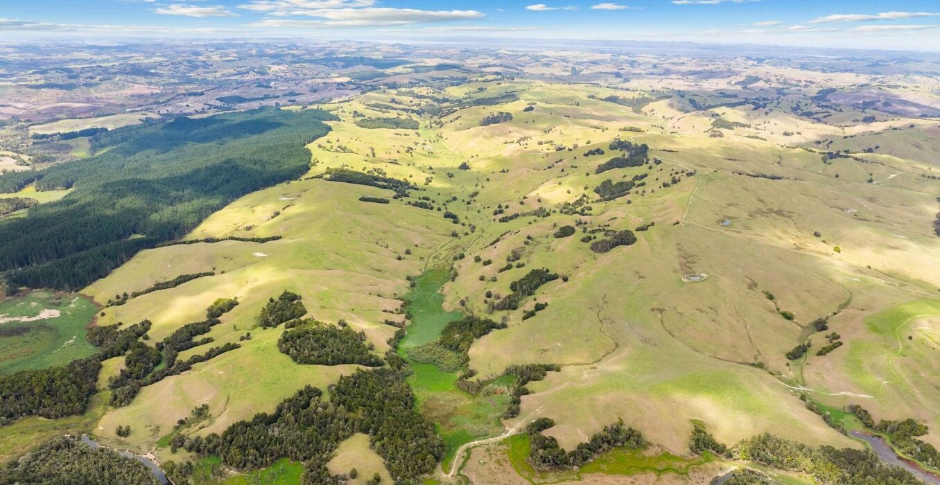 Parahi-Outlet-Road-and-549-Paiawa-Road,-Waiotira,-Northland---hero-1356x700.jpg
