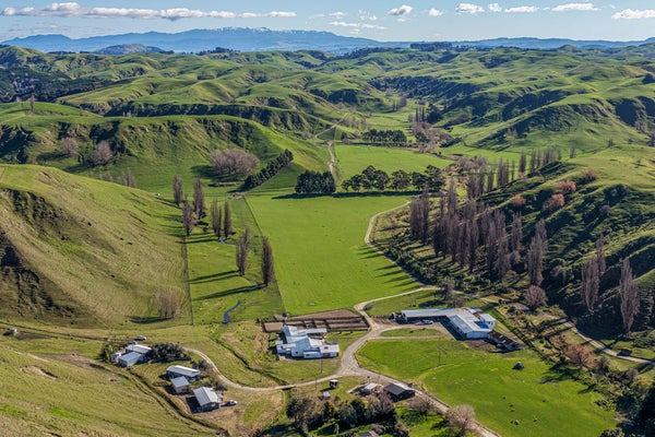 DJI_20260722122343_0847_D-copy.jpg