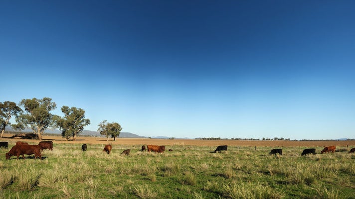 Country-spring-2026-article-2-4-1356x700.jpeg