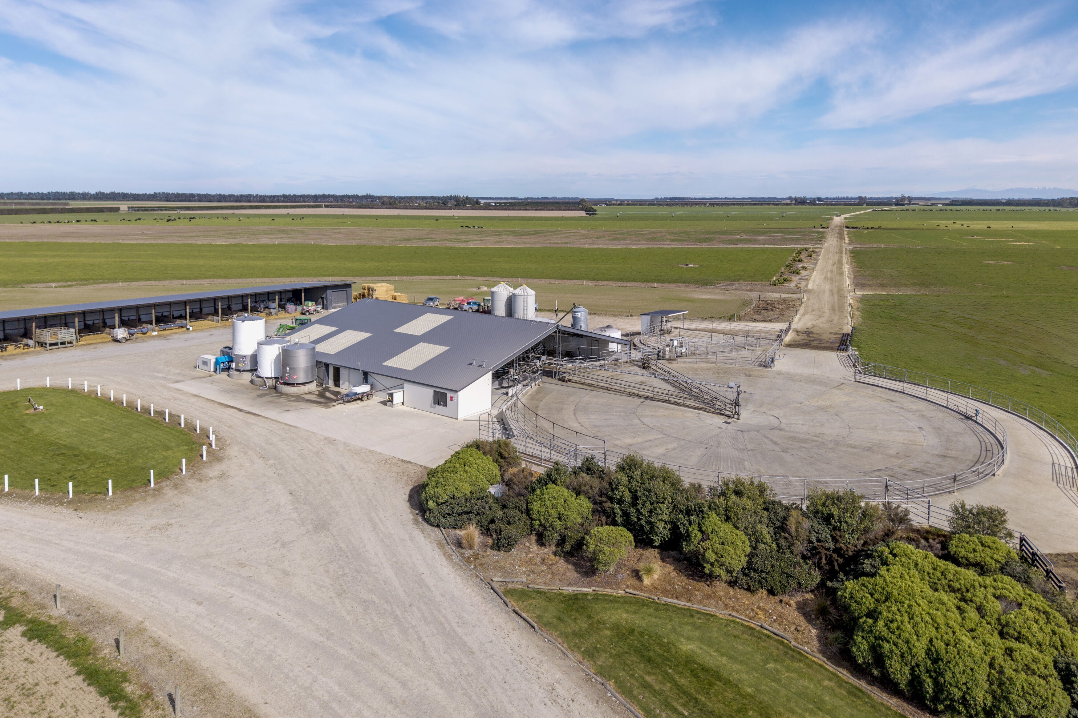 Canterbury dairy farm sold for $34m at auction