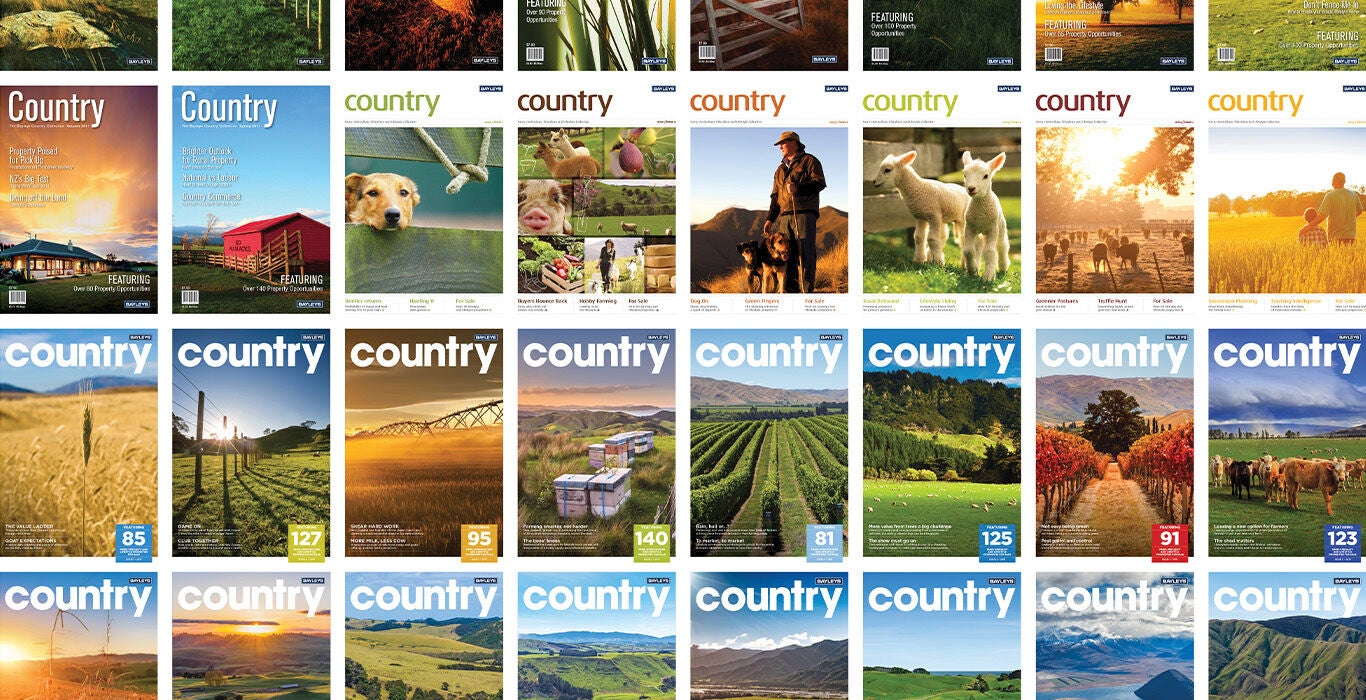 Country-Issue1-2024-Article1-25-years-1366x700.jpg