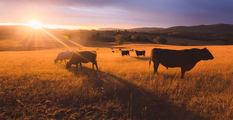 Country-spring-2026-article-2-1-1356x700.jpg