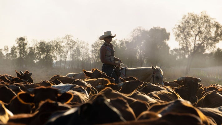Country-spring-2026-article-2-2-1356x700.jpeg