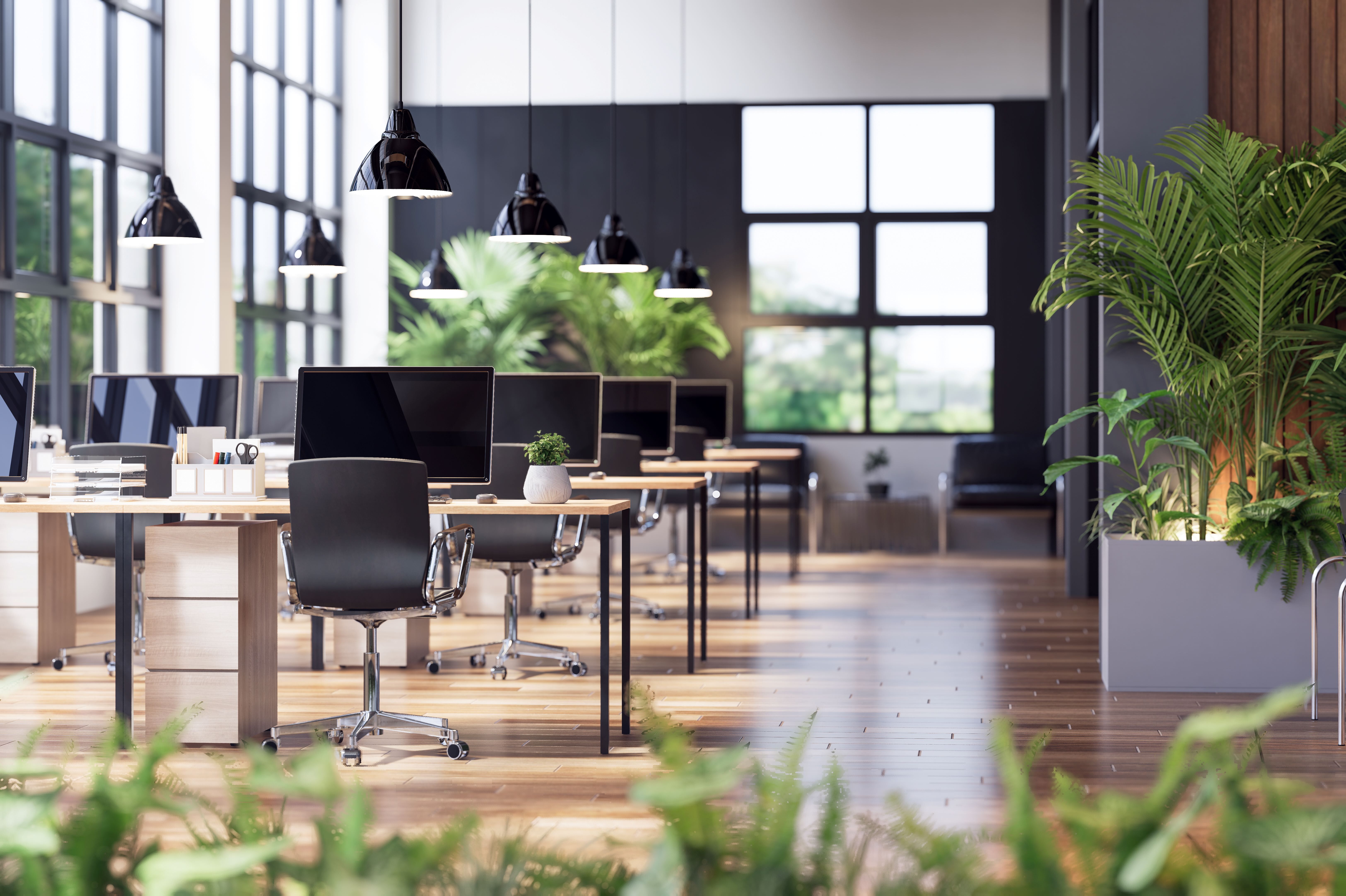 iStock-2159979904.jpg