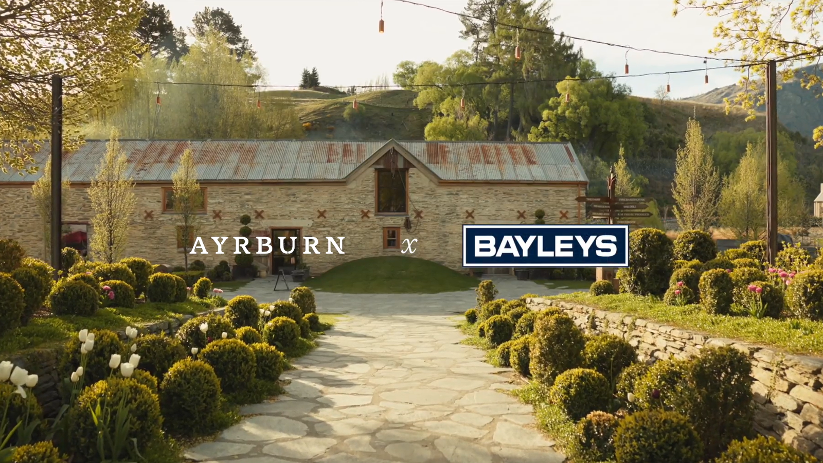 Ayrburn.png